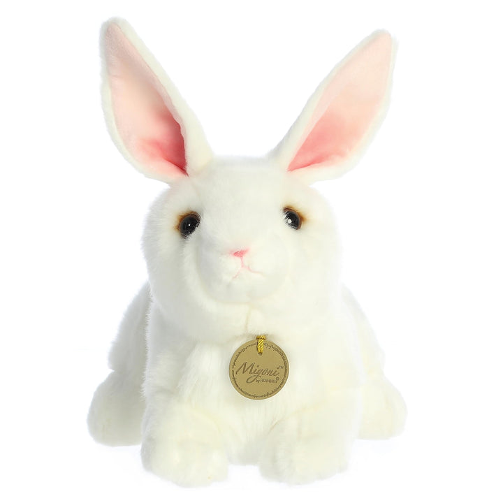 - Miyoni - 10 American White Rabbit