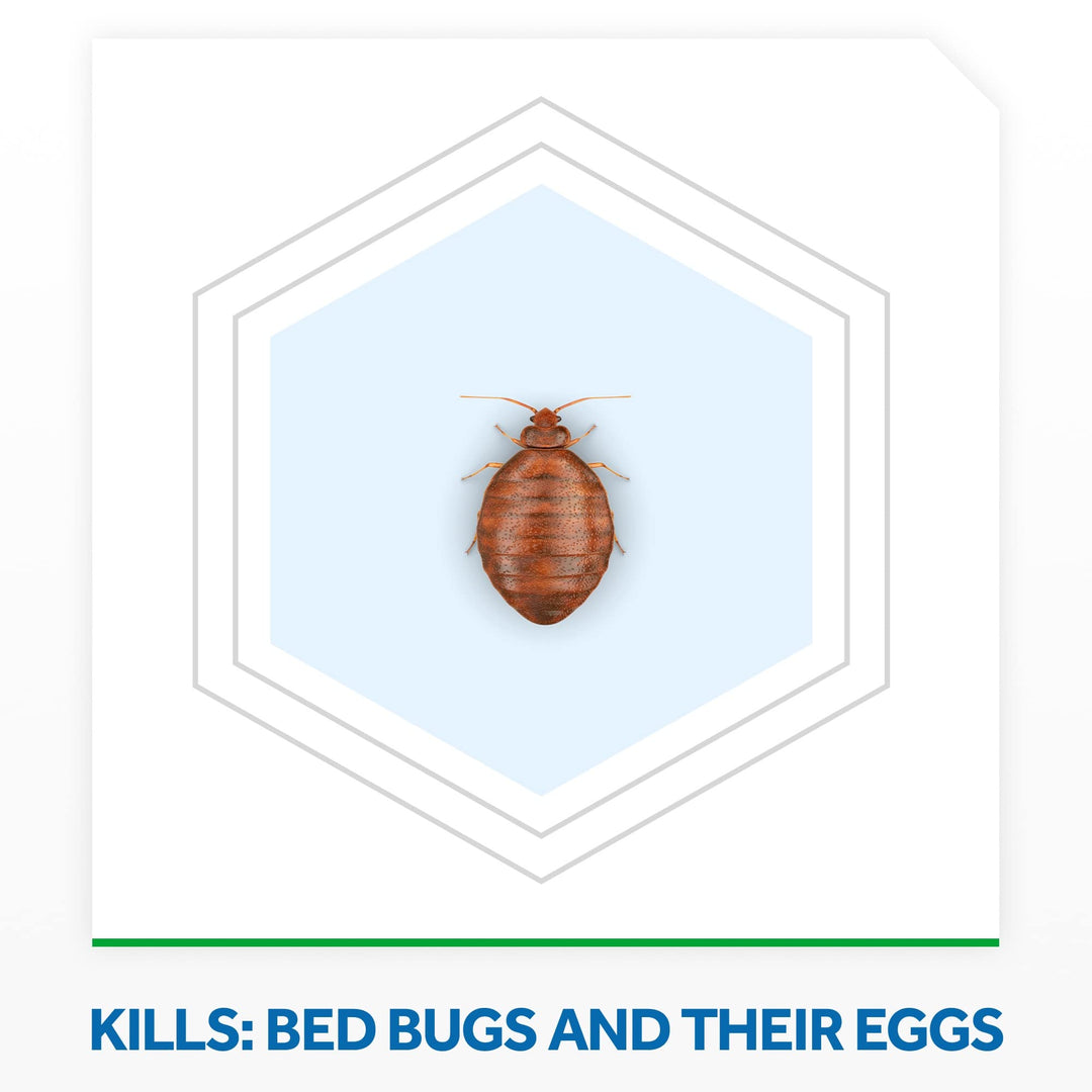 Raid Bed Bug Foaming Spray, Kills Bed Bugs and Their Eg