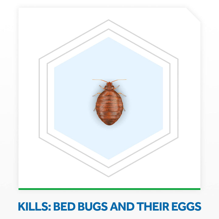 Raid Bed Bug Foaming Spray, Kills Bed Bugs and Their Eg