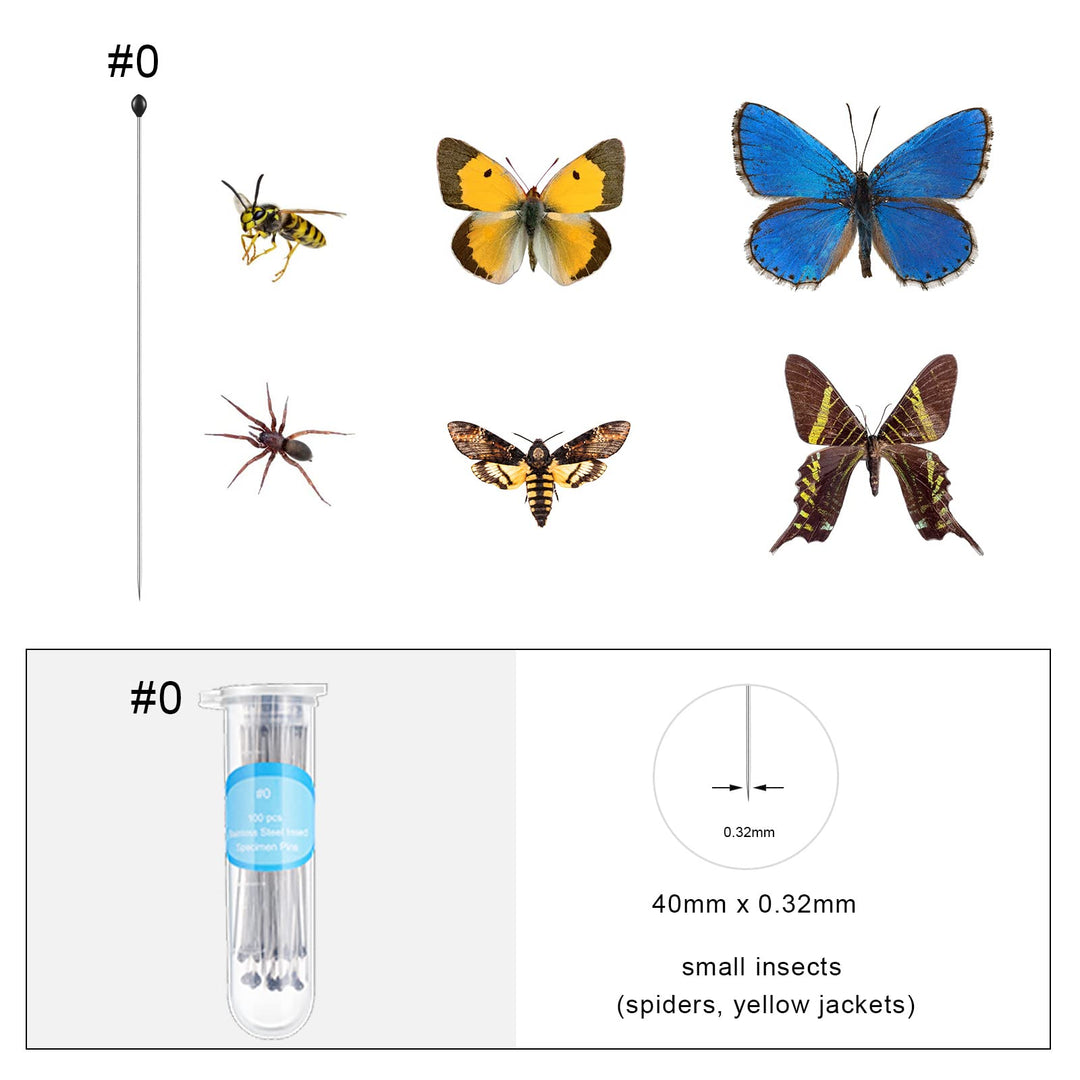 Insect Display Case Box Collection Box with Clear Top, EVA Foam Pinning Board and 100 Pieces Pins Insect Shadow Box Kit Entomology Supplies for Collecting Butterfly Specimen(Carbonized Black)