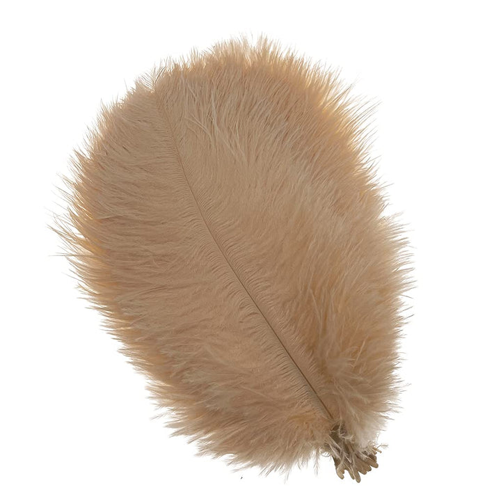 50pcs 8-10inches Ostrich Feathers Craft for Wedding Party centerpieces Home Decoration (Champagne)