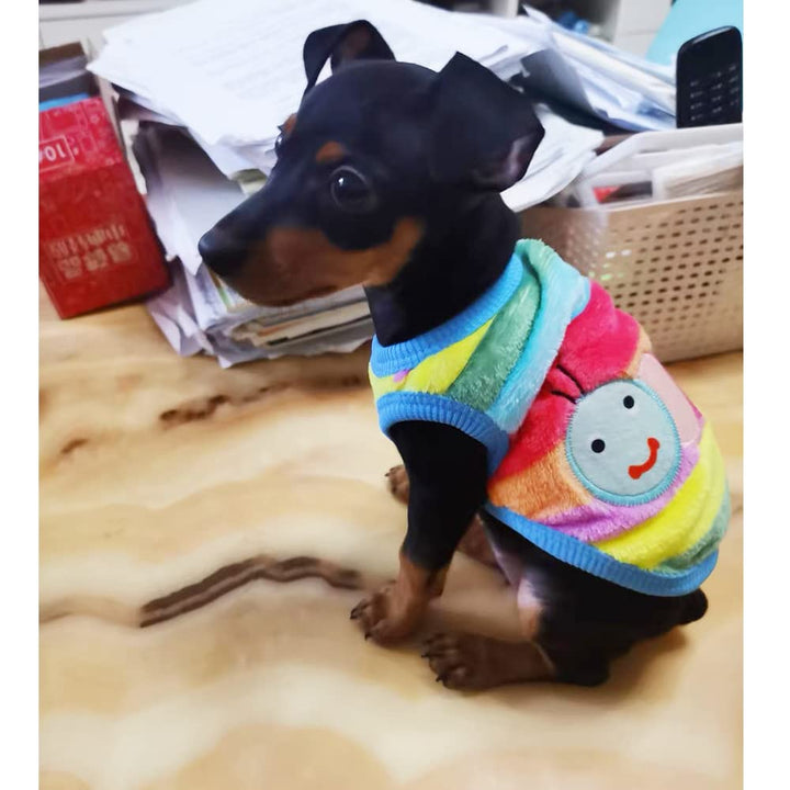 ANIAC Bunny Clothes for Rabbits Warm Kitten Vest Fleece XXXS Dog Shirt Cozy T-Shirt for Bunny Guinea Pig Ferret Puppy Mini Dog and Small Animals (XS, Rainbow)