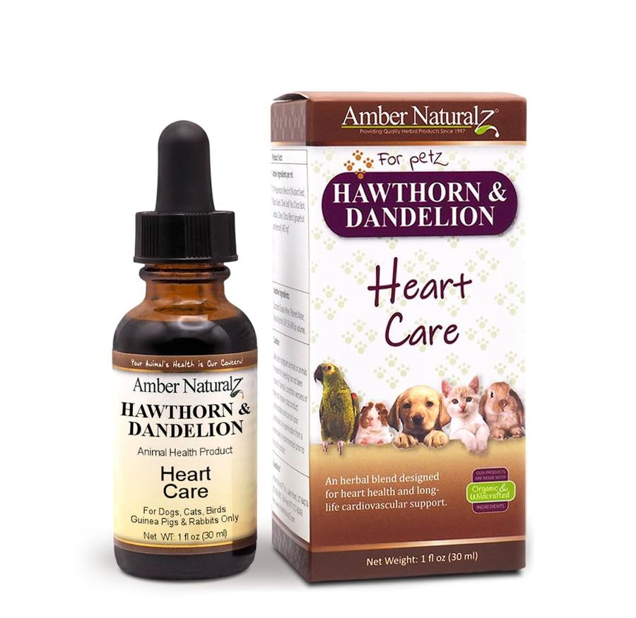 Amber NaturalZ Hawthorn and Dandelion Herbal Supplement for Dogs, Cats, Birds, Guinea Pigs, and Rabbits | Pet Herbal Supplement for Heart Care | 1 Fluid Ounce Glass Bottle | Manufactured in The USA