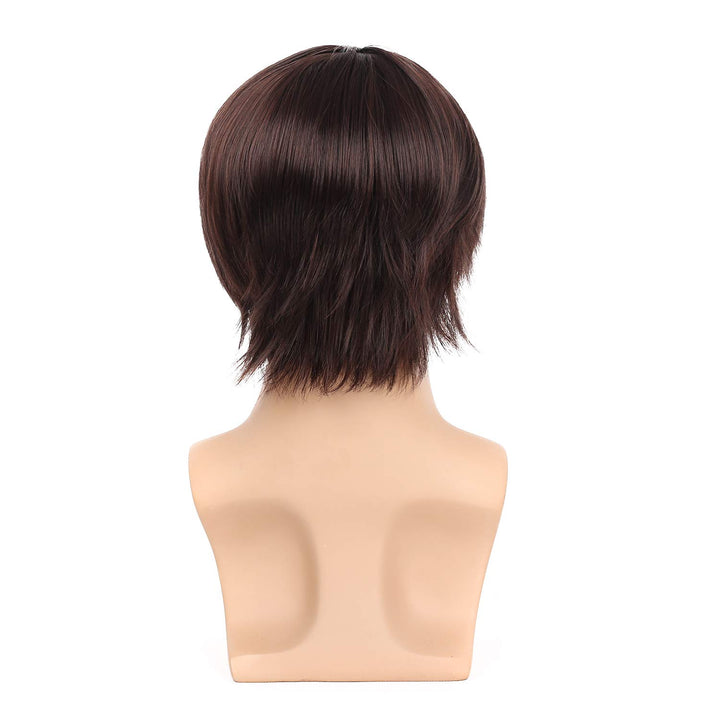 Mens Wigs Short Brown Straight Hair Natural Daily Costume Heat Resistant Synthetic Wigs for Male Buy (Brown Hair)
