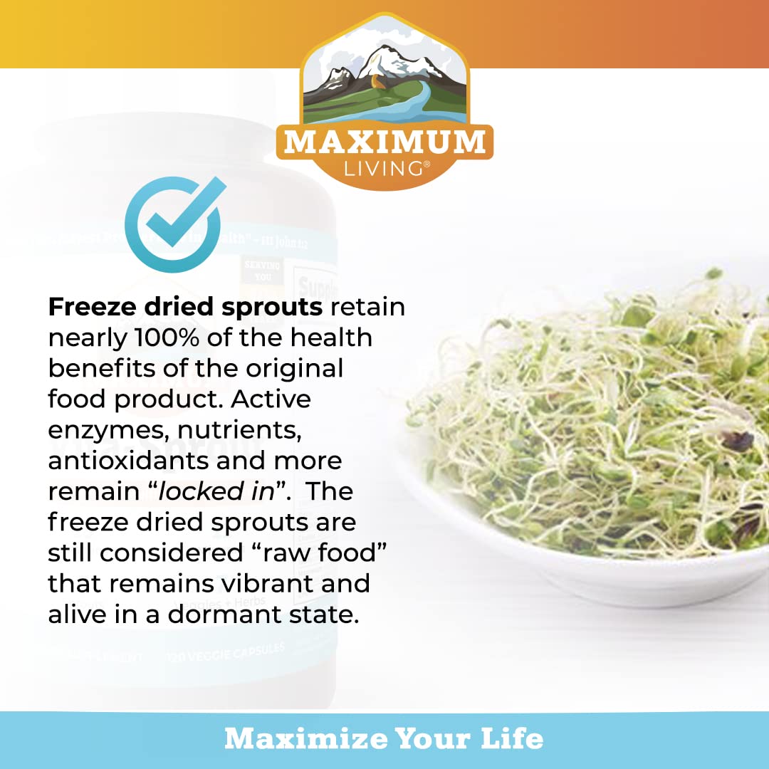 - Vita-Sprout Whole-Food Multivitamin &amp; Phytonutrient Blend - 120 Capsules