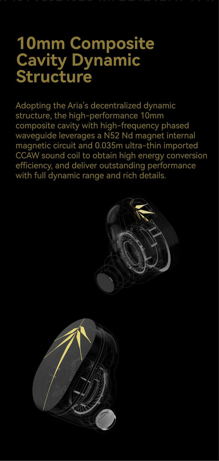 CHU High Performance Dynamic Driver IEMs in-Ear Earphone (with mic)