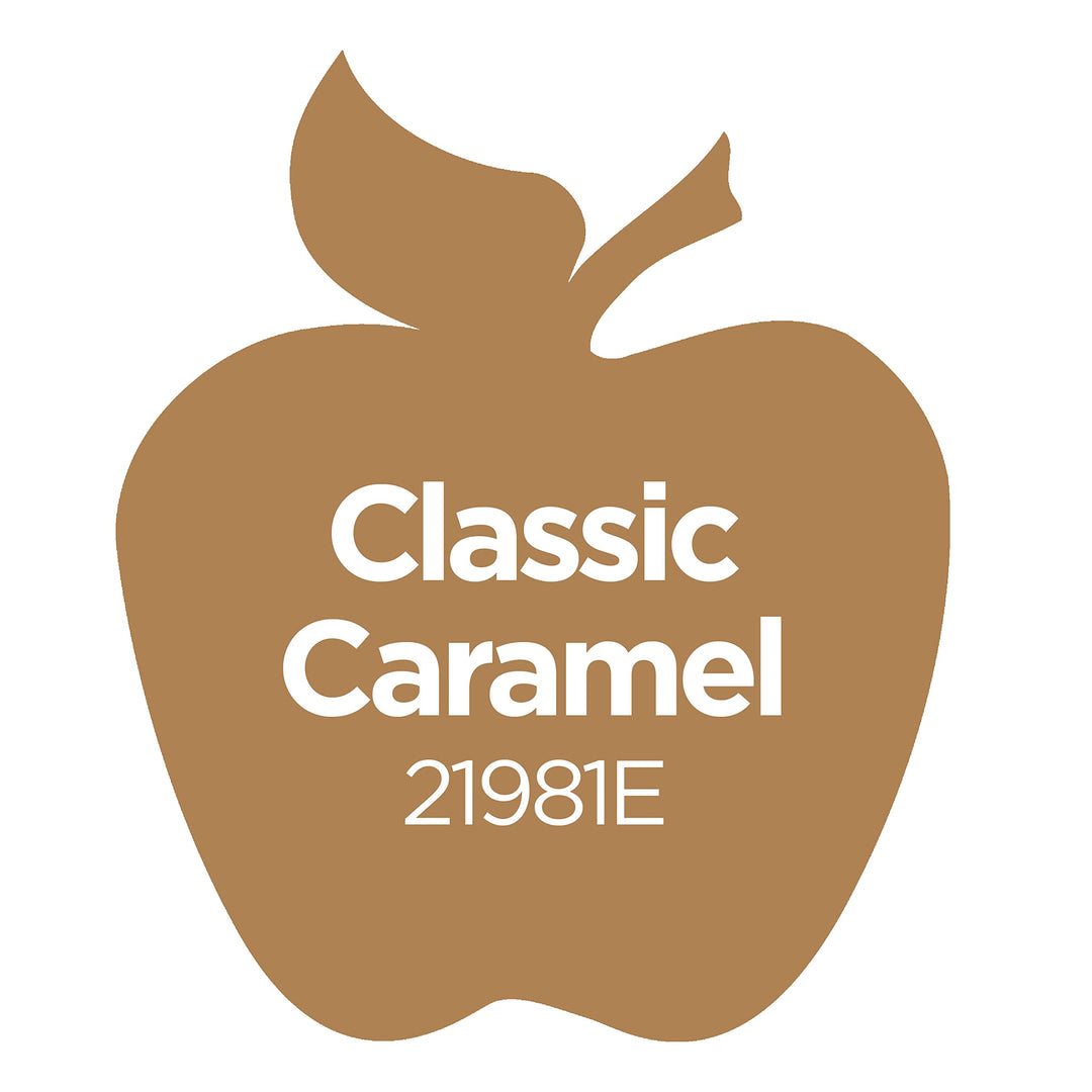Multi Surface Acrylic Paint, 2 oz, Classic Caramel 2 Fl Oz