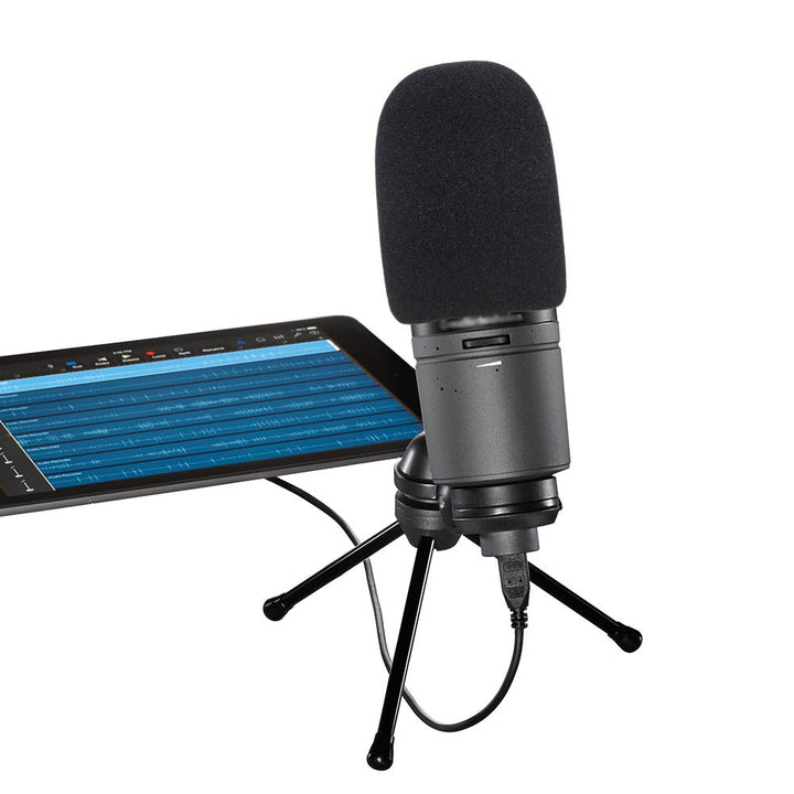 Windscreen Foam Cover, Windscreen Pop Filter for Audio-technica AT2020 Condenser Studio Microphone,Compatible with AT-2035 AT-2050 ATR2500 ATR2500X AT-4040 Microphones,(Black)