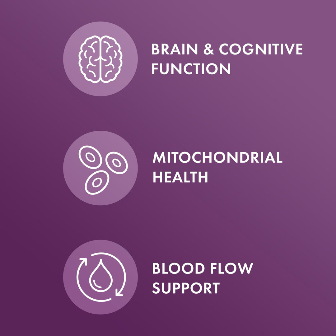 , Purple Defense with Resveratrol, 90 Servings (90 Capsules), Supports Memory and Concentration, Supports Immune System Health, Non GMO, Soy-Free, Gluten Free