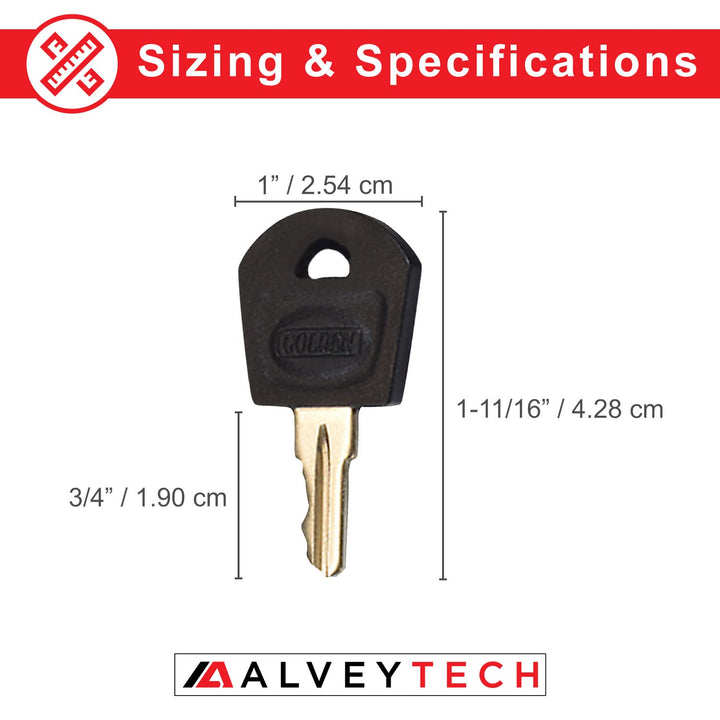 Key for The Golden Technologies Buzzaround Lite, Buzzar