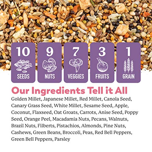 Dr. Harvey’s Fabulous Finch Food for Outside Feeder and Indoor Birds- Premium Bird Feed with Seeds, Nuts, Fruits, Vegetables for Finches (4 Pounds)