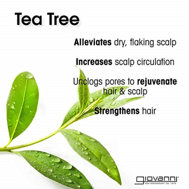Invigorating Shampoo Tea Tree Triple Treat 8.5-Ounce Bottles (Pack of 3)