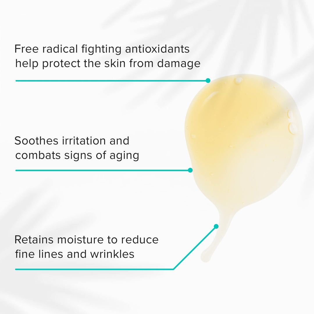 Take Care Daily, Plant Based Antioxidant Serum with Red Tea for All Skin Types, Hydrates &amp; Protects Skin, Paraben Free, Natural Skin Care (1 fl oz)