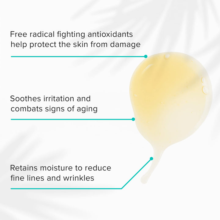 Take Care Daily, Plant Based Antioxidant Serum with Red Tea for All Skin Types, Hydrates &amp; Protects Skin, Paraben Free, Natural Skin Care (1 fl oz)