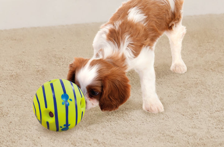 Ball, Interactive Dog Toy, Fun Giggle Sounds When Rolled or Shaken, Pets Know Best, As Seen On TV