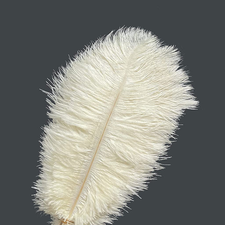 20pcs Natural Ostrich Feathers 10-12 inch(25-30cm) Plume for Wedding Decoration Costume Customization and Halloween Party Carnival (Ivory)