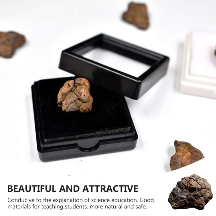 Meteorite Real Space Rock in Treasure Chest Box Display