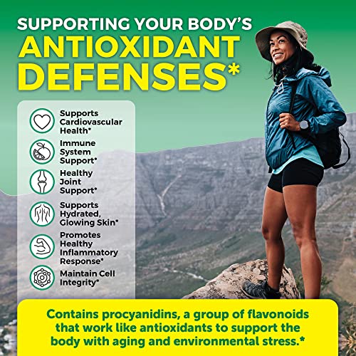 Pycnogenol 100mg from French Maritime Pine Bark Extract Capsules - Healthy Blood Circulation Supplements, Antioxidant Protection, Joint Support and Immune Support - 60 Pycnogenol Supplements