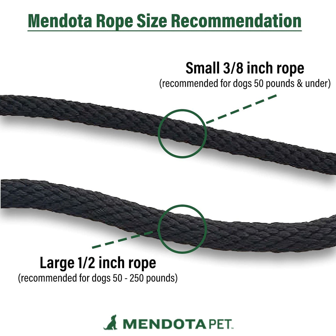 Pet Slip Lead, 1/2 X 6&#39;, Black, Dogs, Model:02803