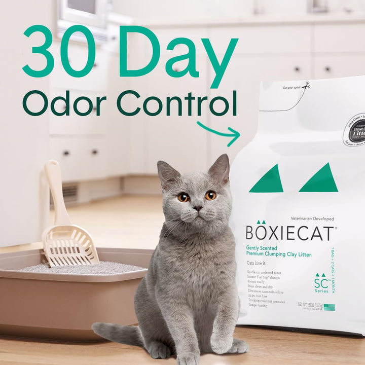 Boxie® Gently Scented 30 Day Natural Odor Control Cat Litter, 28lb Clumping Clay Kitty Litter