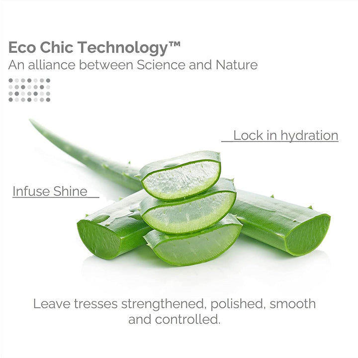 Direct Leave-In Weightless Moisture Conditioner - Co Wash, Great for Curls &amp; Wavy Hair, Wash &amp; Go, Salon Quality, No Parabens, Infused with Natural Botanical Ingredients - 8.5 oz, (3 Pack)