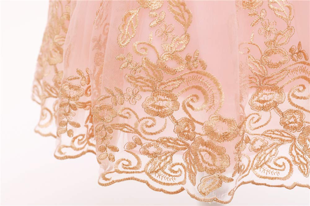 Baby Princess Girls Embroidery Dresses Toddler Lace Ruffles New Year Easter Tutu Dress with Headwear (Pink02,80)