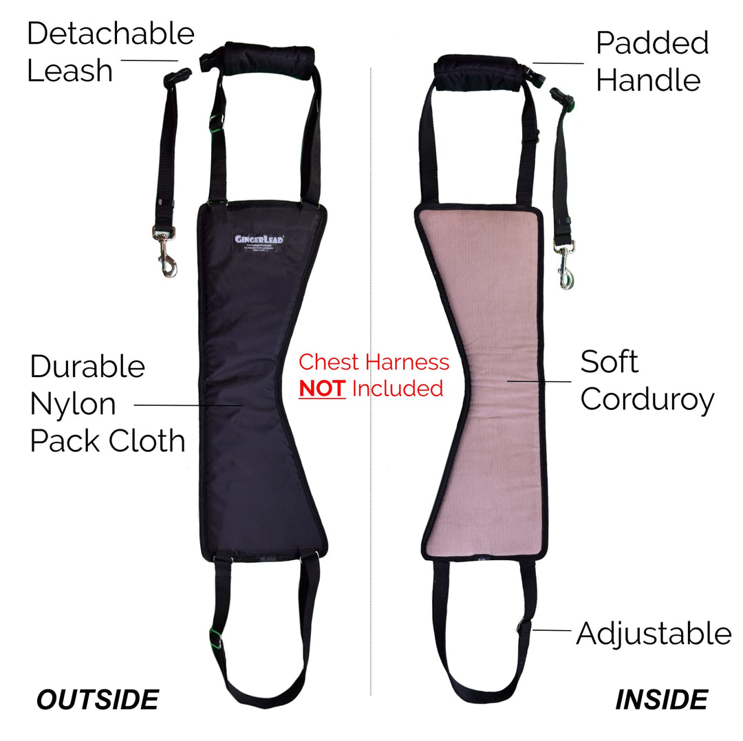 GINGERLEAD Dog Rear Support Sling Harness, M/LG Unisex with Cutout Fits Male &amp; Female Dogs. Padded Hip Lifting Aid Helps Old Pets Walk, K9s Recover from TPLO Surgery. Integrated Leash. Made in U.S.A.