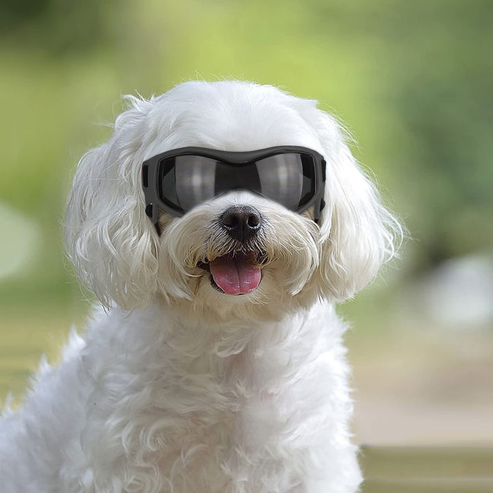 ENJOYING Dog Goggles Small Breed Anti-UV Puppy Sunglasses for Small-Medium Dogs Anti-Fog Windproof Snowproof Doggy Glasses Eyes Protection, Soft Frame, Black