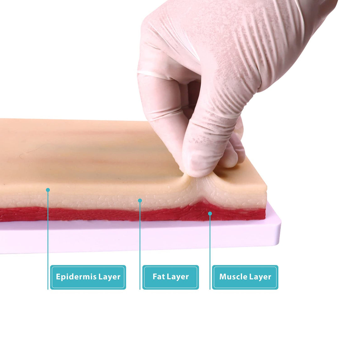 Venipuncture Practice kit Phlebotomy IV Insertion, Blood Draw, Injection, Venipuncture Techniques for Students to Practice Perfect IV,Medical Educational Teaching Model Not Included Practice Needles
