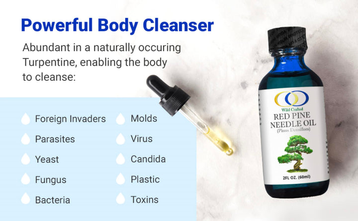 Red Pine Needle Oil 2oz - Daily Drops for Extreme Immune Support - BioActive Cell &amp; DNA Support - 1290 Drops - 3 to 7 Drops Per Dose -Vegan Body Cleanse - Longevity Oil