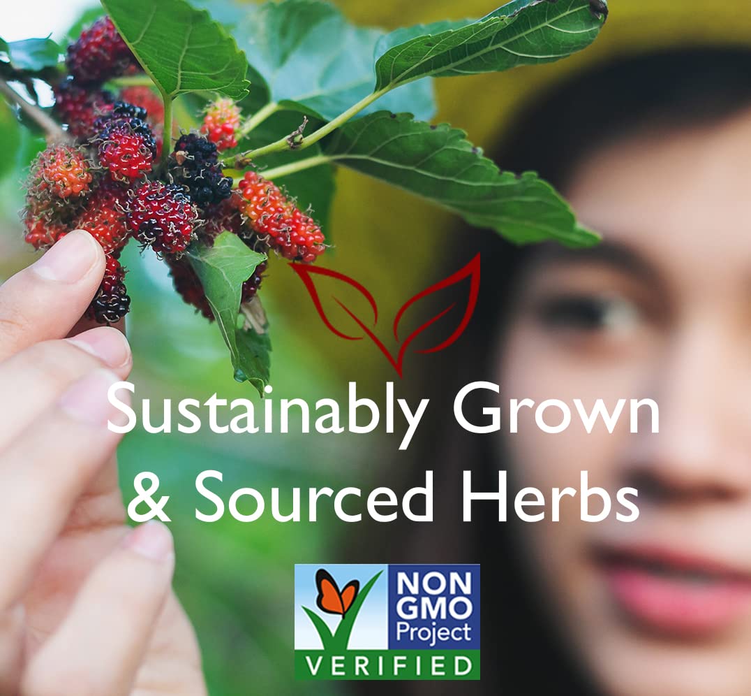 Bravo Teas Reishi Liver Health, 1 Ounce