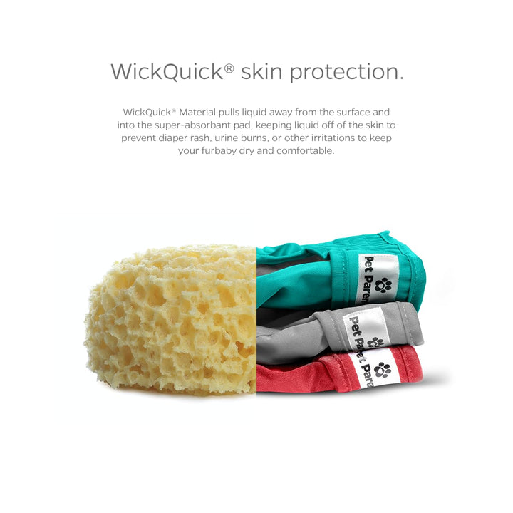 ® Washable Dog Diapers (3pack) + Extendrs® of Durable Doggie Diapers, Premium Dog Diapers Female (Medium, Southern Belle)