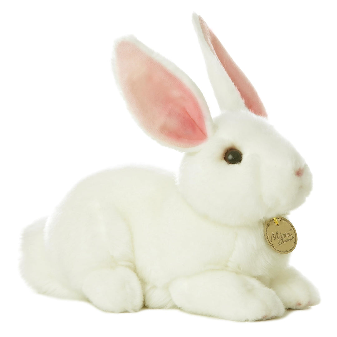 - Miyoni - 10 American White Rabbit