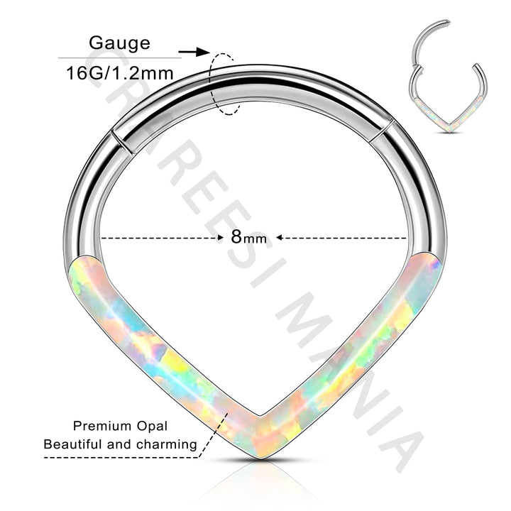 Teardrop Daith Earrings Hoop Hinged Clicker Rings 16G Helix Cartilage Earrings Hoop 316L Stainless Steel CZ Helix Tragus Daith Septum Clicker Jewelry
