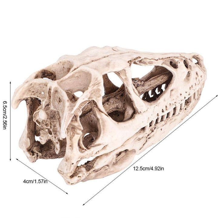Fdit Resin Dinosaur Skull Model Simulated Animal Skeleton Home Office Decor Craft Teaching Prop