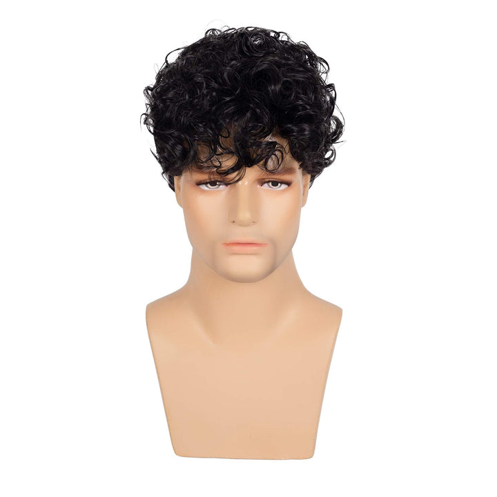 Short Curly Mens Black Wig Fluffy Synthetic Cosplay Halloween Hair Wig for Male Guy