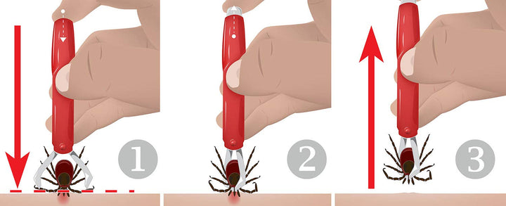 tick Remover, 2 Pack - red, tick Removal Tool - tick Remover for Dogs and Cats