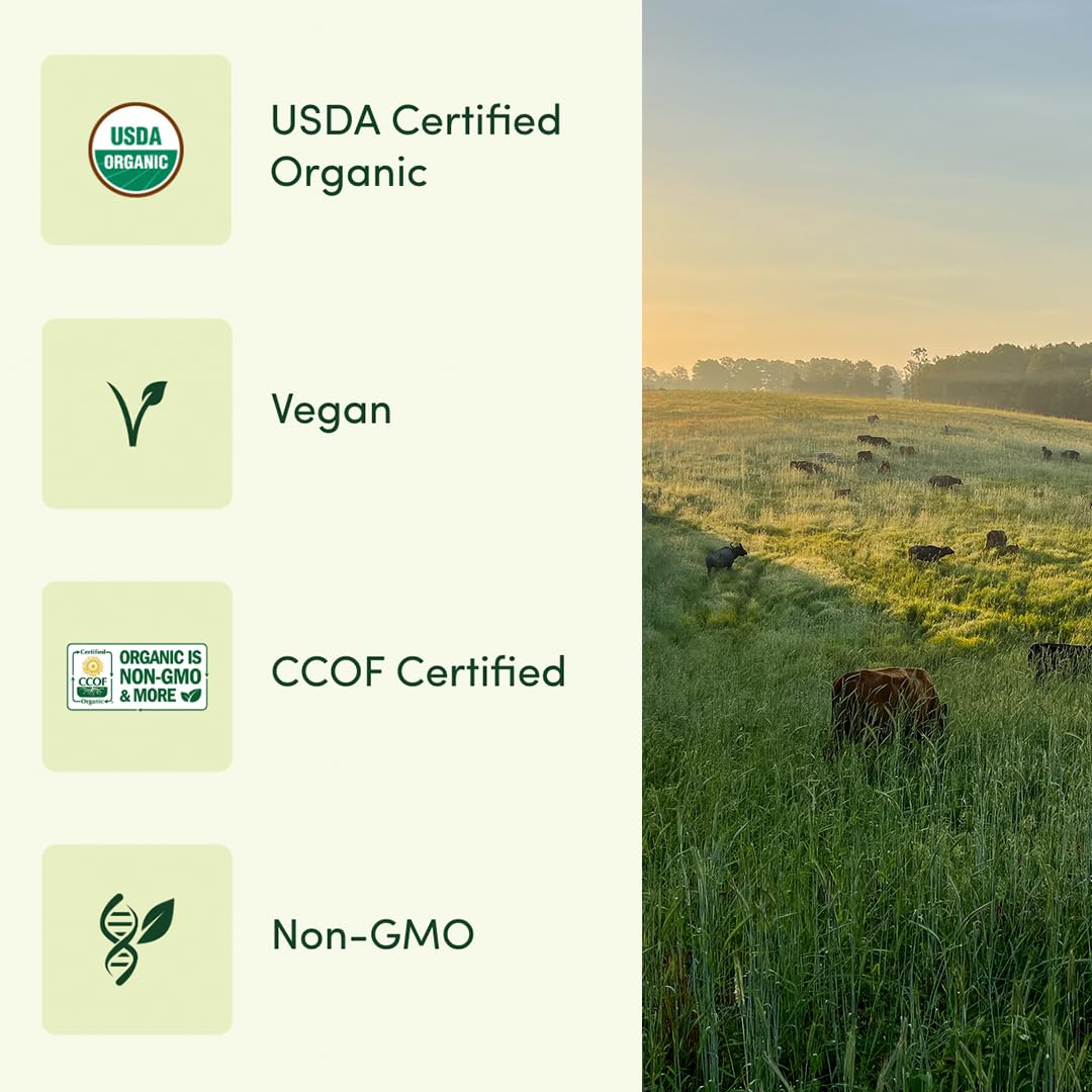 Once Daily Multivitamin for Men 50, 19 Vitamins from Herbs &amp; Superfoods, Supports Prostate Health, Energy Levels, and Strong Bones, 60 Count