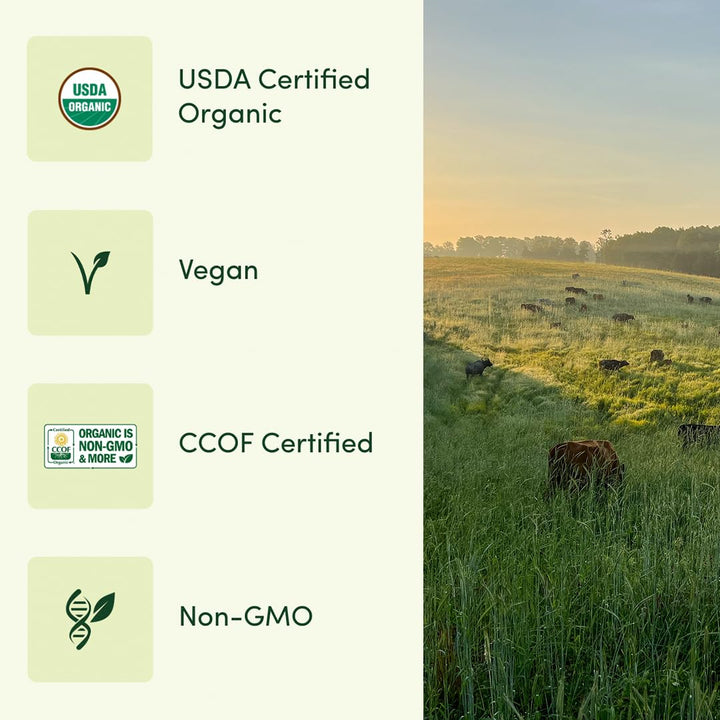 Once Daily Multivitamin for Men 50, 19 Vitamins from Herbs &amp; Superfoods, Supports Prostate Health, Energy Levels, and Strong Bones, 60 Count