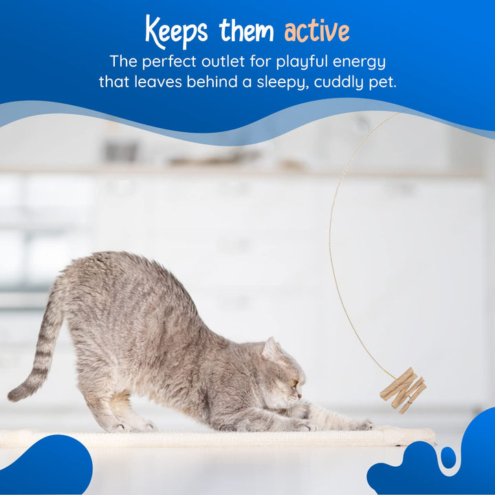 Cat Dancer 101 Original Interactive Cat Toy