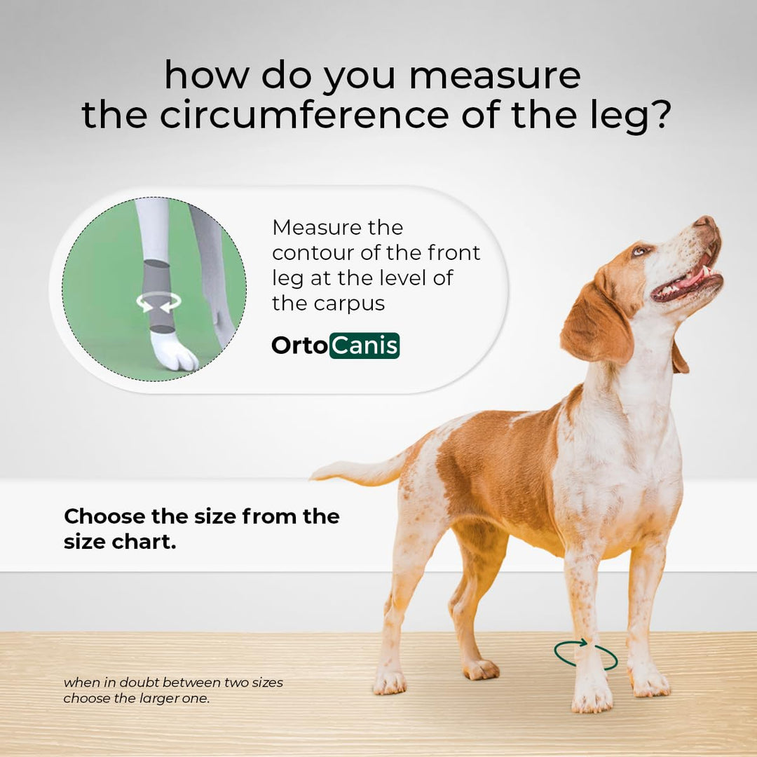 - Carpal Brace for Dogs with Arthrosis, Ligament or Tendon Injuries, or Agility Dogs, Size L