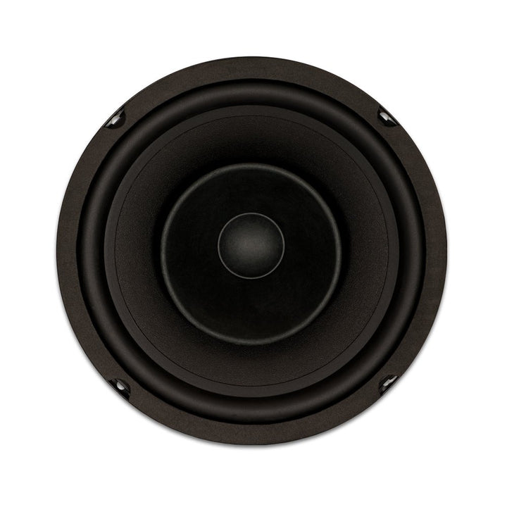 Goldwood Sound GW-8003/8 Full Range 8 Woofer with Whizz