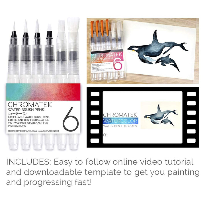 Water Brush Pens by Chromatek. Set of 6 Aqua Pen Painting Brushes. Including Online Video Tutorials and Downloadable Picture Templates. Ideal for All Water Soluble Pigment and Watercolor Media