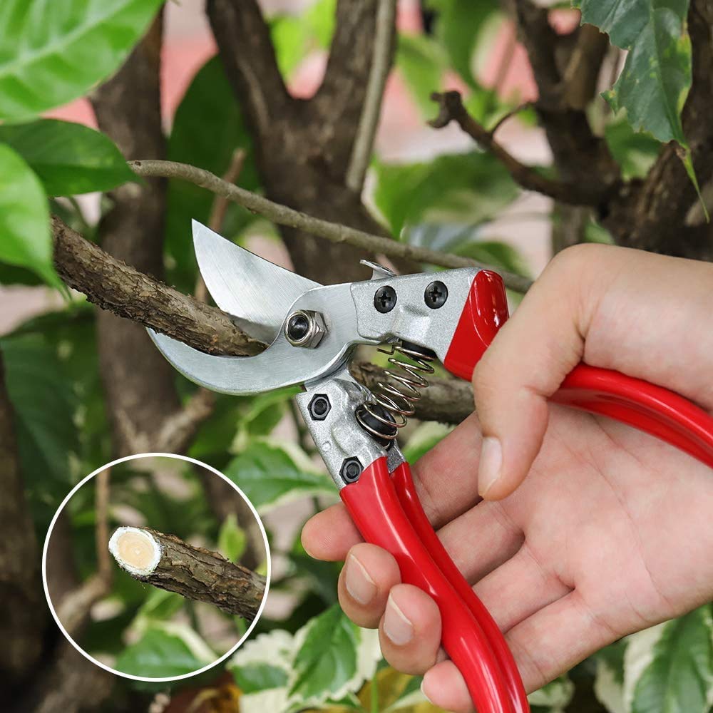 8 Pruning Shears, Professional Bypass Garden Shear Hand Pruners Gardening Shears Clippers for Plants, Flower Cutter Florist Scissors Trimming Scissors, Gardening Tools