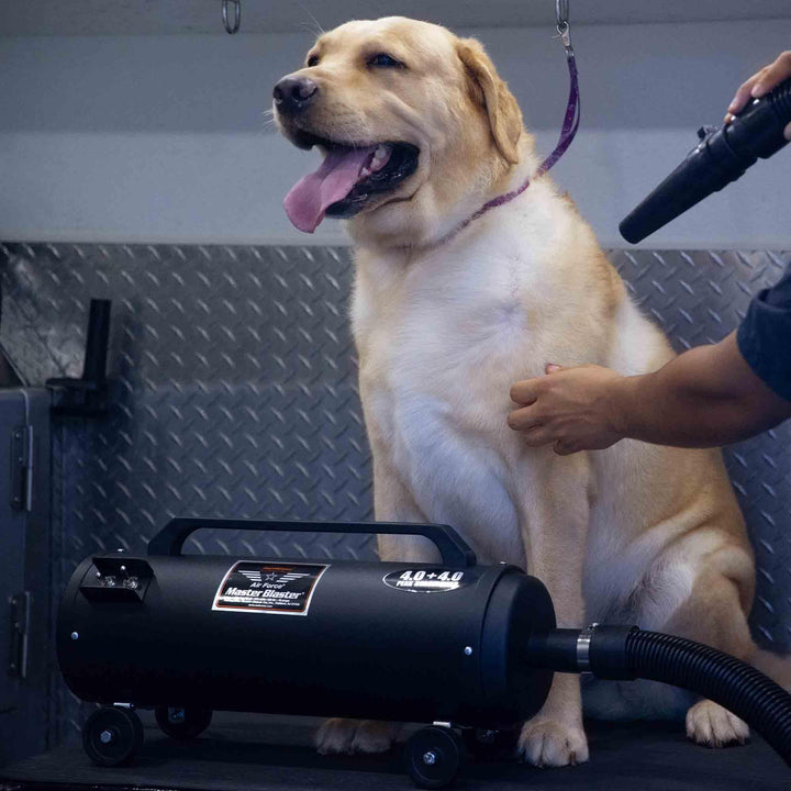 MB-3 Air Force Blaster Pet Dryer, Professional Blower, Efficient Cleaner, 4.0 Peak HP Twin Fan Motors 120V, 10 Ft Commercial Hose, 2 Speed