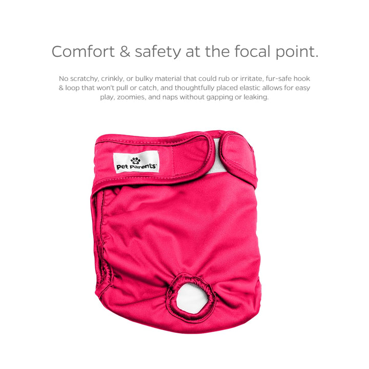 ® Washable Dog Diapers (3pack) + Extendrs® of Durable Doggie Diapers, Premium Dog Diapers Female (Small, Princess)