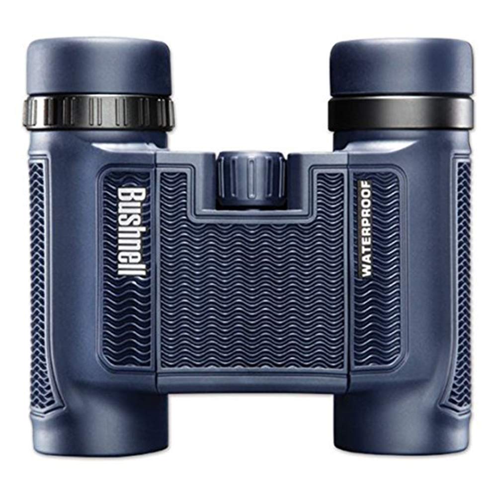138005 H2O Waterproof/Fogproof Compact Roof Prism Binocular, 8 x 25-mm, Black