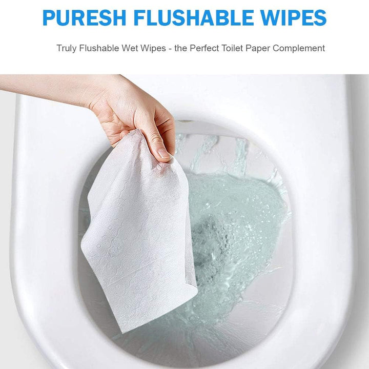 Flushable Wet Wipes, Soft &amp; Gentle Scented Wipes for Adults Flushable Toilet Tissue, Female Wipes for Lady/Women Flushable Infused Vitamin E &amp; Aloe, 300 Count (5 Packs)