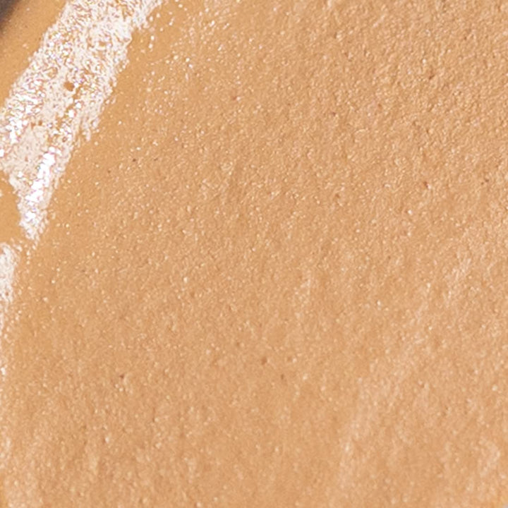 PALLADIO BEAUTY UNDER EYES DISGUISE CONCEALER - VANILLA LATTE, 10 g (0.35 oz)