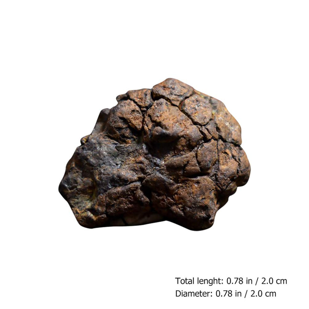 Meteorite Real Space Rock in Treasure Chest Box Display